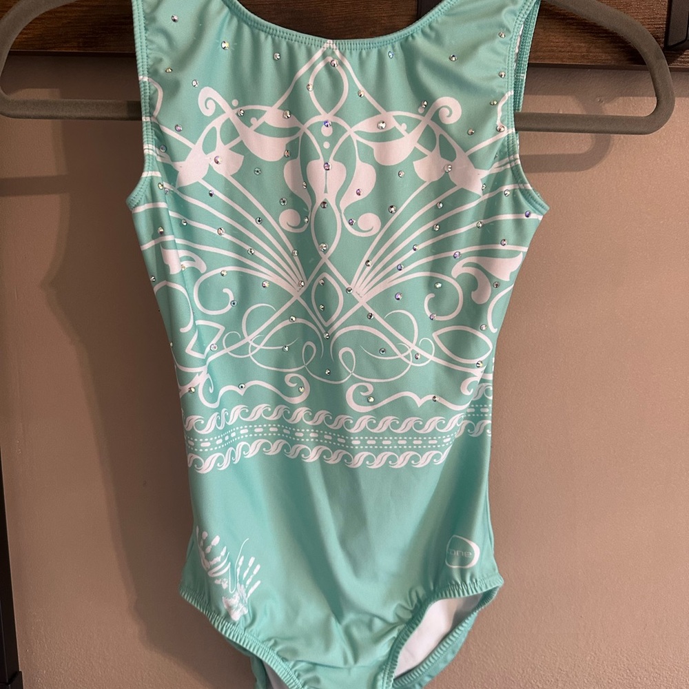 Chalk Warrior Elegant Mint Green Leotard - Surprise 2024 - Rare
